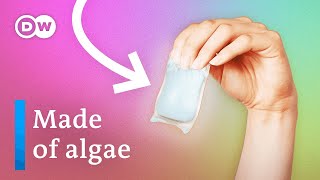 How to make bioplastic at home [upl. by Reichert394]