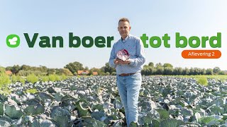 Van boer tot bord Groenteproductie Flevoland [upl. by Nepsa]