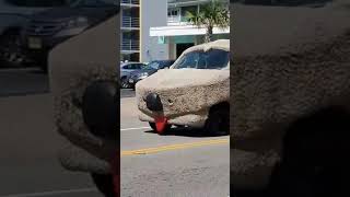 The time i seen the Shaggin Wagon 2018 funny viral funnyvideo laugh funnyshorts [upl. by Whiting]