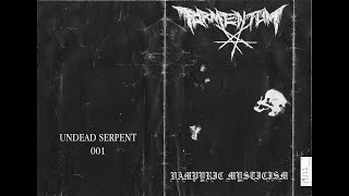 TORMENTUM US  BEYOND THE DARKNESS WITHIN BLACK METAL 2020 [upl. by Cartwell]