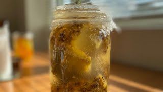 HOW TO MAKE TEPACHE Fermented pineapple drink [upl. by Etterb]