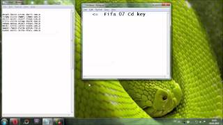 Fifa 07 Cd Key [upl. by Audette]