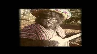 The Twang  Guapa Official Video [upl. by Llemaj138]