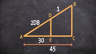 Determining parallel lines using the proportionality theorem of parallel lines [upl. by Purse469]