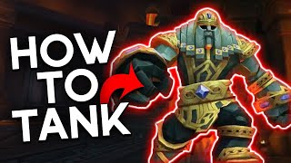 InDepth Guide on How to Tank The Stonevault Prot Pal PoV [upl. by Stock]