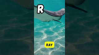 Part 2  Sea Animals Short Song for Kids  Fun Ocean Animals Song  Phonics amp English  abcd kids [upl. by Aliekat417]