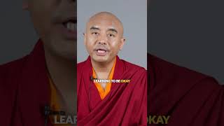 No mistakes no success motivation meditation buddhistmonk success inspiration [upl. by Aiouqahs231]