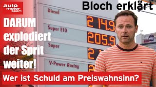 9 Irrtümer beim Spritpreis So entstehen die Kosten  Bloch erklärt 178 I auto motor und sport [upl. by Lowenstein]