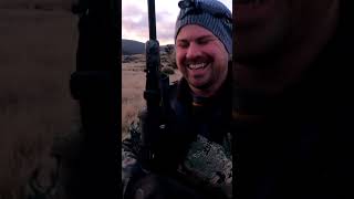 🌪️🦌 Deer hunting in a savage wind Deer Hunting Tasmania [upl. by Elkraps]