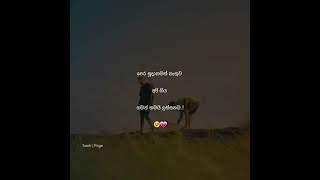 👻💓whatsapp status sinhalaspeedsan1sarawijewardana [upl. by Sarine]