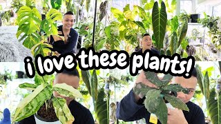 NEW plant growth 🌱 amp NEW camera 🎥  watering moss poles updates  philodendron monstera hoya [upl. by Emiline]