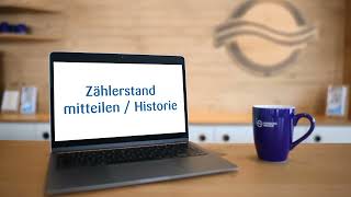 Kundenportal  Zählerstand mitteilen  Historie [upl. by Louis806]