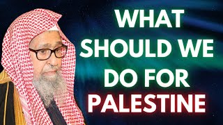 What Should We Do For Palestine  Shaykh Saleh Al Fawzan Original Clip Uploaded on Feb 9 2019 [upl. by Engenia]