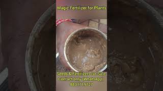 Magic Fertilizer for Plants Seeds and Fertilizers for Sale contact only WhatsApp 8801719727 [upl. by Sokul185]