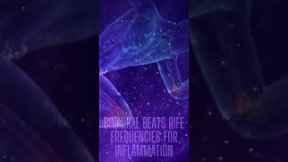 Binaural Beats Rife Frequencies for Inflammation  Overall Inflammation Healing Sound Therapy [upl. by Mukund456]