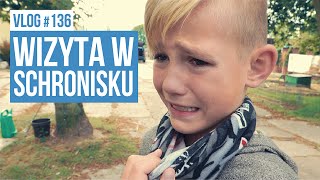 Wizyta w schronisku  VLOG 136 [upl. by Akinit]