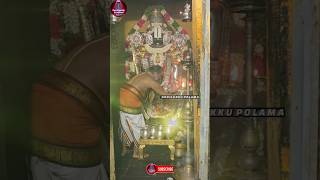 perumal perumaltemple பெருமாள் kovilukkupolama hindufestival [upl. by Anehsak]