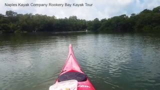 Naples Kayak Company Rookery Bay Kayak Tour [upl. by Novad]