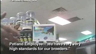 Petland Investigation Pet Store Sells Puppy Mill Dogs [upl. by Nivrac]