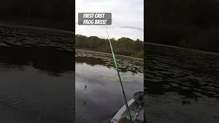 First Cast Bass on Frog vexanfishing first cast frogging bassfishing kayakbassfishing kayak [upl. by Eirhtug]