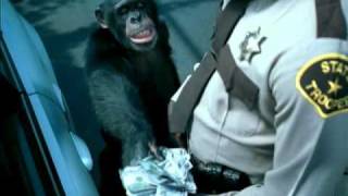 Trunk Monkey Offer  Suburban Auto Group [upl. by Cecilio182]