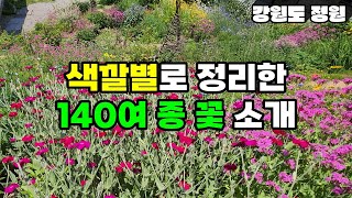 총정리  색깔 및 만개 순으로 정리한 140여 종 꽃  강원도 정원 [upl. by Atram]