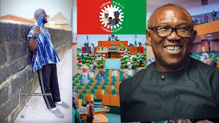 They used Peter Obi House of Representatives members used Peter Obi as ladder and then dump [upl. by Chemash]