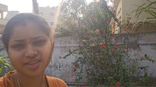 Mrng to evng vlog [upl. by Anitsyrc]