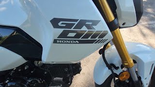 I Bought A 2025 Honda Grom [upl. by Adnohsirk294]