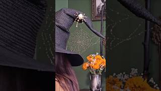 I shaped thin wire into a spiderweb and carefully sewed it onto my witch hat 🧙‍♀️ What do you think [upl. by Dombrowski]