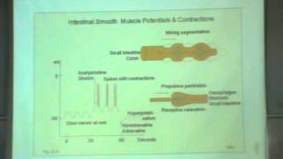 Dr Manal GIT 1 quot Innervation of the GIT  Types of movements in the gastrointestinal tract quot [upl. by Kask118]