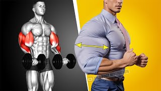 Best Biceps and Triceps Workout at Gym [upl. by Trauner325]