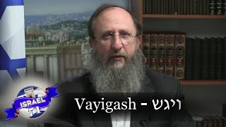 Weekly Torah Portion Vayigash [upl. by Murage457]