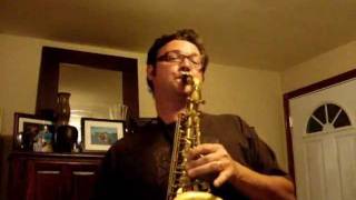 Tribute to Clarence Clemons  Jungleland Sax Solo [upl. by Thebault]