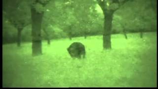 Hog Hunting 44 Magnum Tracer Rounds Night Vision [upl. by Ahasuerus]