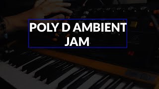 POLY D AMBIENT JAM Behringer Poly D [upl. by Capone]