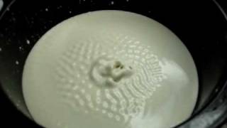 NonNewtonian Fluid Fun [upl. by Yrram]