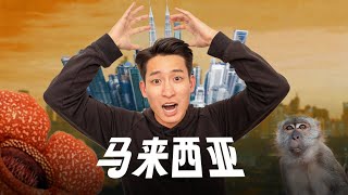 马来西亚，现实版疯狂元素城 [upl. by Lemal]