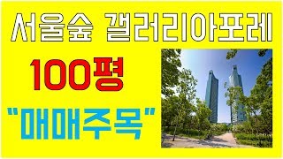 서울숲 갤러리아포레 100평 매매 Sky Real Estate [upl. by Ontine417]