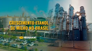 CRESCIMENTO DO ETANOL DE MILHO NO BRASIL [upl. by Seftton]