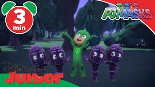 PJ Masks  PJlinos  Disney Junior UK [upl. by Nyrrek]