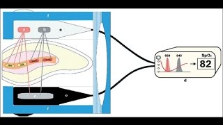 How does pulse oximeter works [upl. by Buehler]