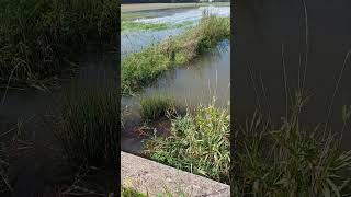 Inondations en Essonne  13 octobre 2024 [upl. by Iredale]