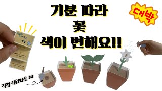 기분 따라 변하는 미니 화분  직접 키워봐요  기분따라 꽃 색이 변하는  만들기 무료 도안 [upl. by Darbee199]