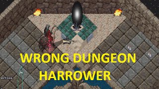 Dungeon Wrong Harrower vs HI5  Ultima Online [upl. by Paff977]