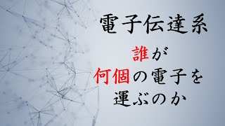 電子伝達系では誰が何個の電子を運ぶのか（生化学） [upl. by Allard434]