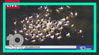 Tarpon Springs Greek Orthodox church successfully hosts 117th Epiphany cross dive [upl. by Marcelline]