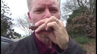 Gussows Classic Blues Harmonica Videos trailer [upl. by Naugal]