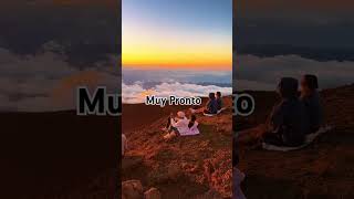 playa music musica plataformas viralvideo viralshorts [upl. by Ahsaetal]