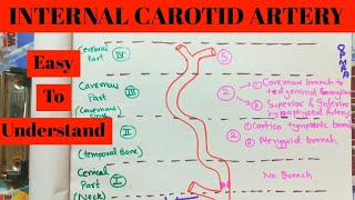 Internal Carotid Artery Anatomy  Classification  Parts  branches  Easy way to Learn  Hindi [upl. by Hsakiv]